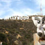 Hollywood Sign