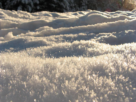 Landscape of frost