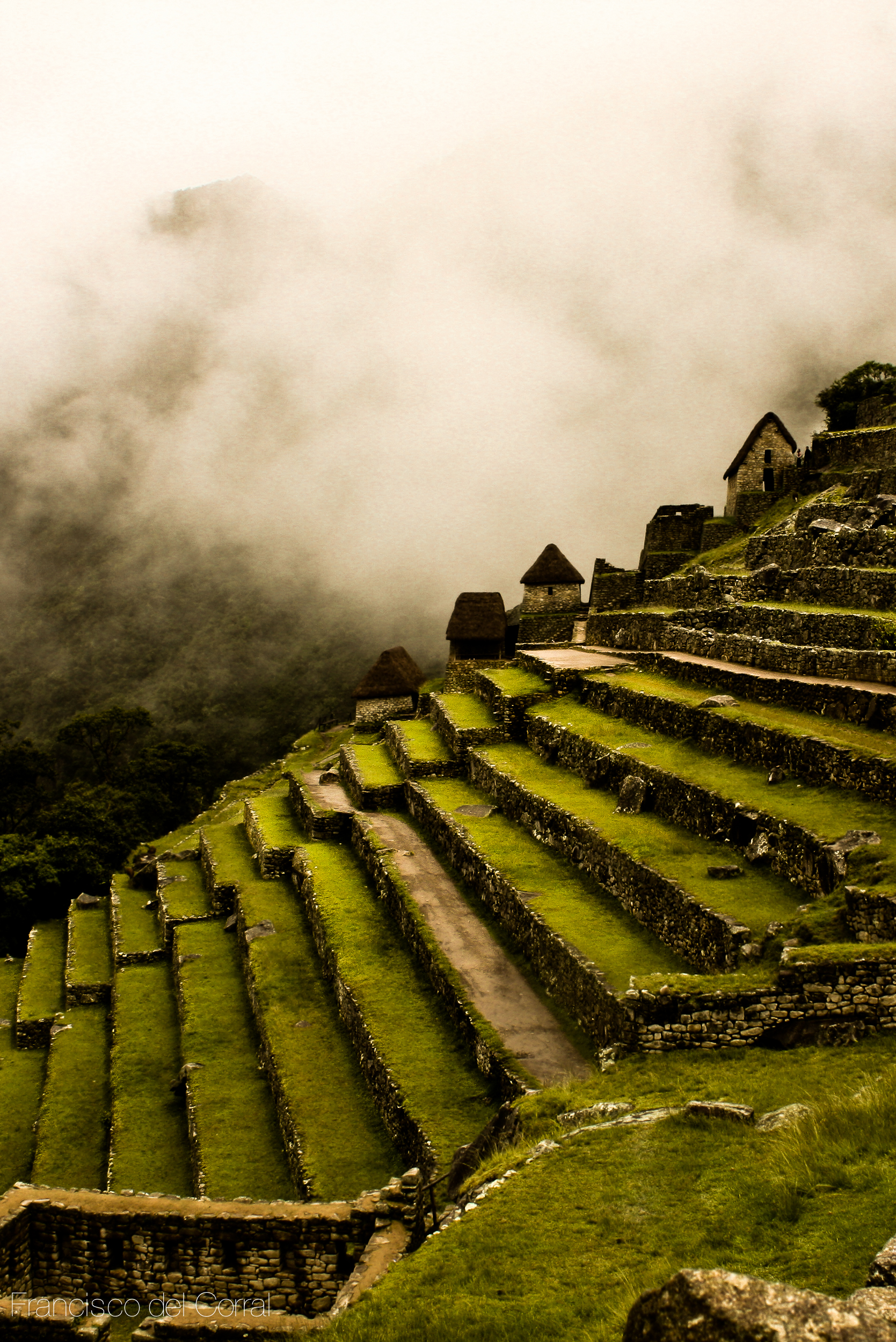 Machu picchu - Terrazas