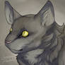 Graystripe