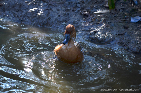 Taking a bath