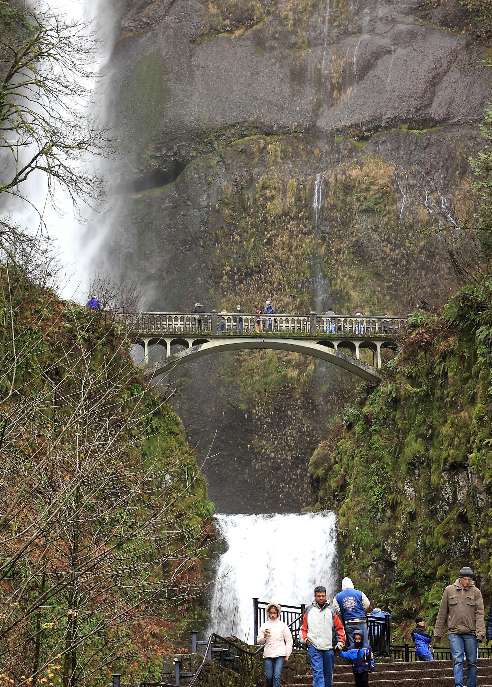 Bridge at the Falls