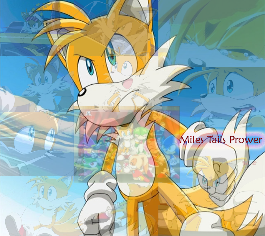 All Tails Tails pics all together. by badcoin on DeviantArt