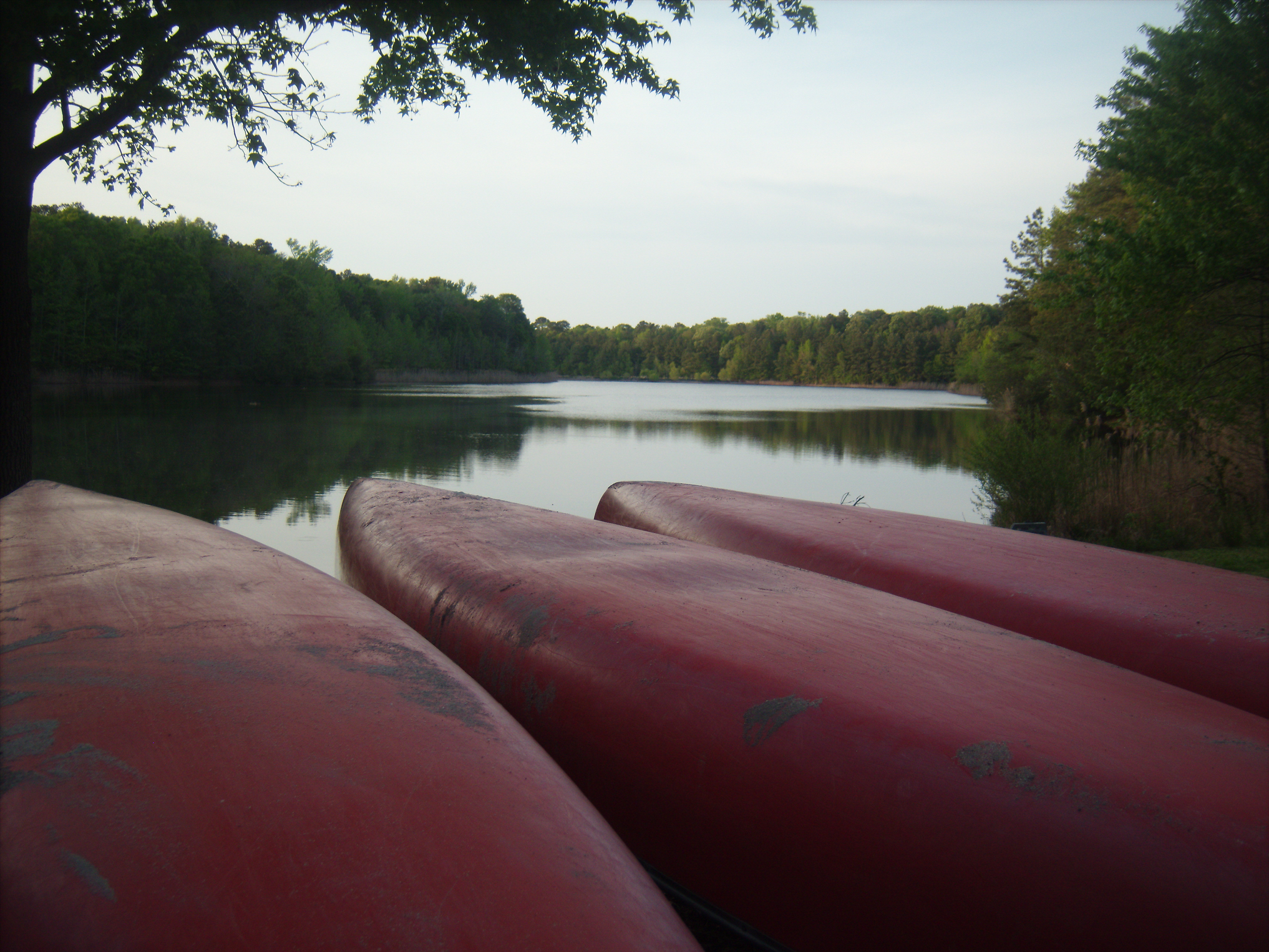 Canoe