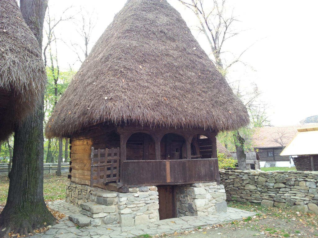 Old Romanian House