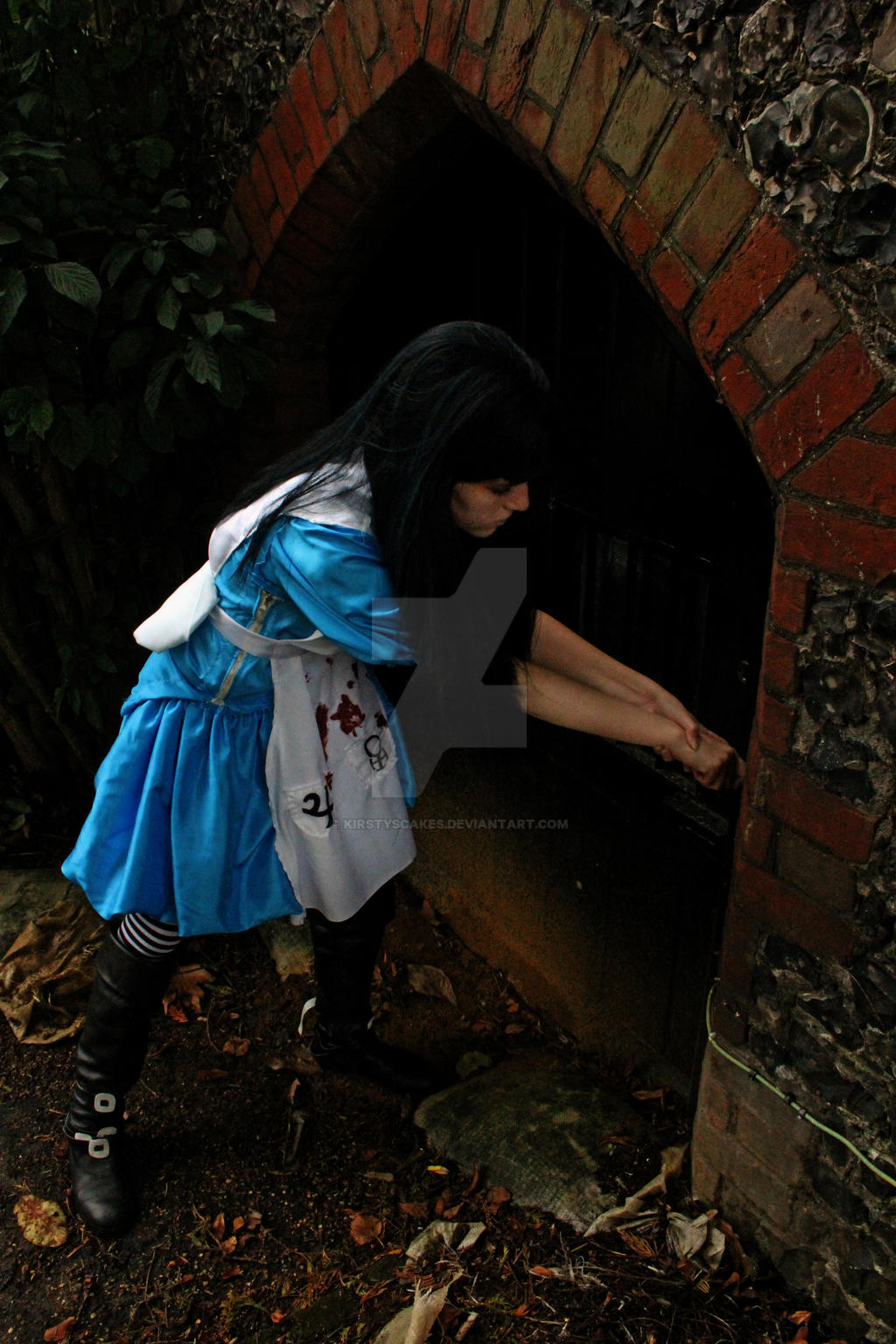 Alice Wandering Through the Door