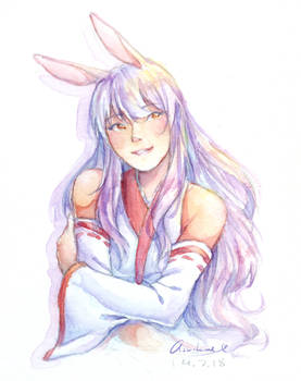 Sasu's Bunny