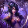 Night Elf