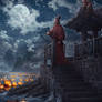 Lanterns and the Moon