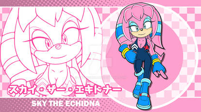 Sky the Echidna - Channel graphic