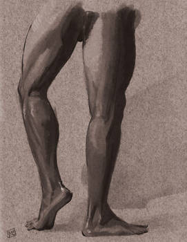 Study of the Lower Leg