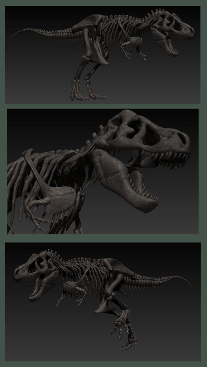 Terminator Rex Skeleton Updated T-Rex Skeleton by Art-Minion-Andrew0 on DeviantArt