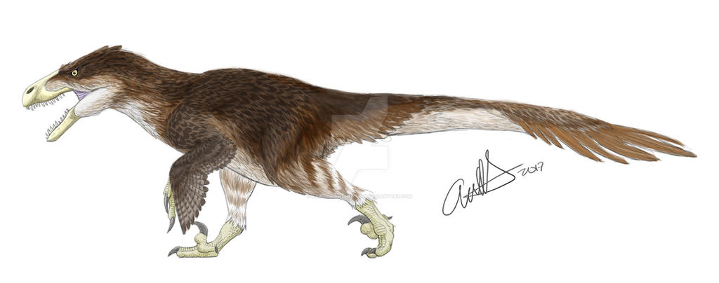 Floofy Utah Raptor Fluffy Utahraptor by Art-Minion-Andrew0 on DeviantArt