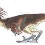 Troodon Design