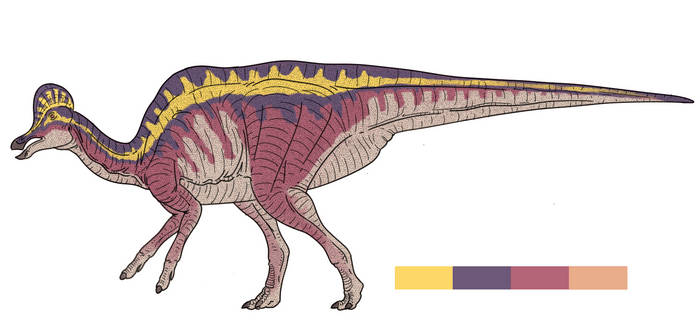 Explore The Best Corythosaurus Art DeviantArt explore-the-best-corythosaurus-art-deviantart