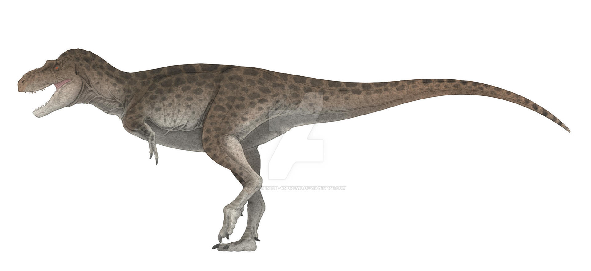 Gorgosaurus by Art-Minion-Andrew0 on DeviantArt