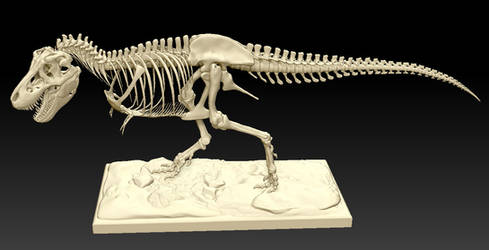 T-Rex Skeleton