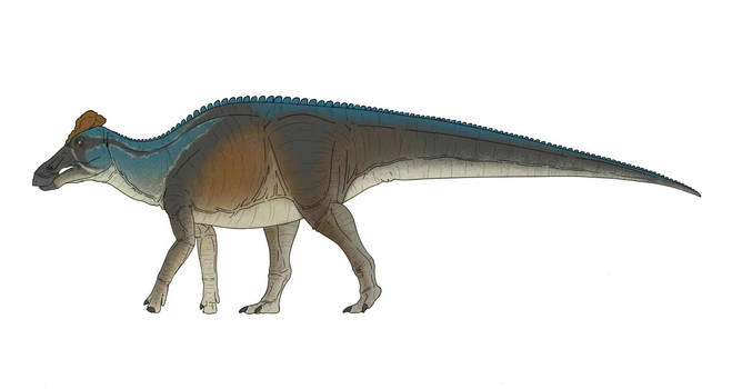 Edmontosaurus Colors