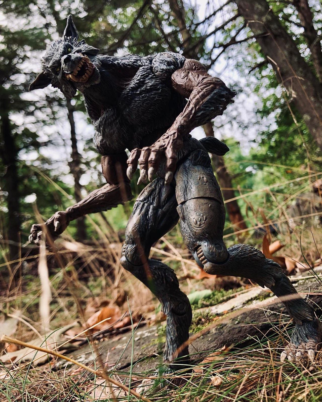 Voodoo Rougarou The Rougarou by BladePuppetMaster on DeviantArt