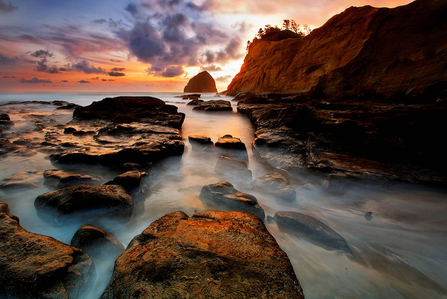 The Coast by coulombic