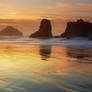 The Beauty of Bandon