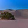 Eureka Dunes