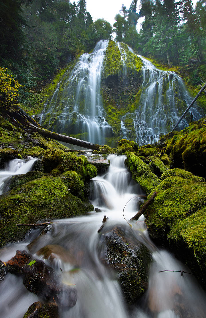 Lower Proxy Falls by coulombic