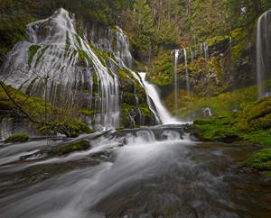 Panther Creek Falls.