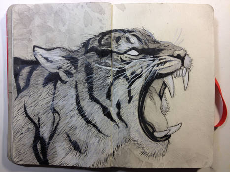 Sketchbook:Growl