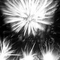 Fireworks II