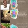 Reptile Headscales Study