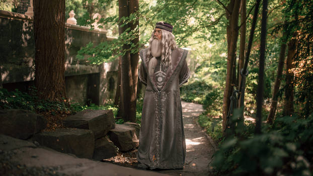 Dumbledors magical garden