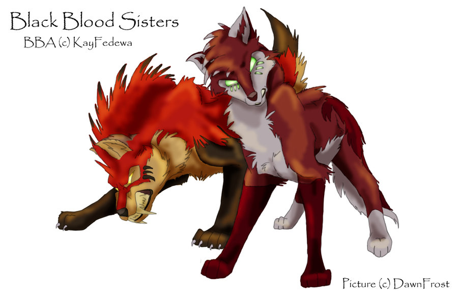 Black Blood Sisters-DawnFrost