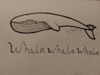 Whale, whale, whale