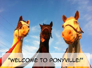 Welcome to Ponyville!