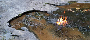Forest Fire Prevention