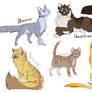 Warrior cat designs