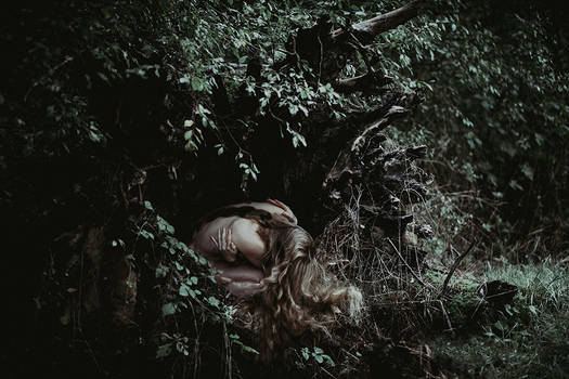 Huldra's Shelter