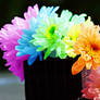 Rainbow flower 2