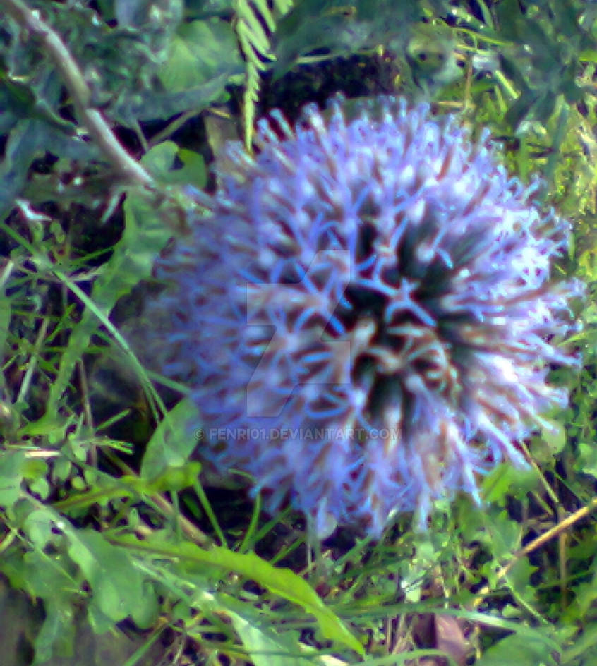 Distel in blue by Fenri01 on DeviantArt