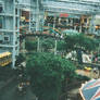 Inside the Mall Of America