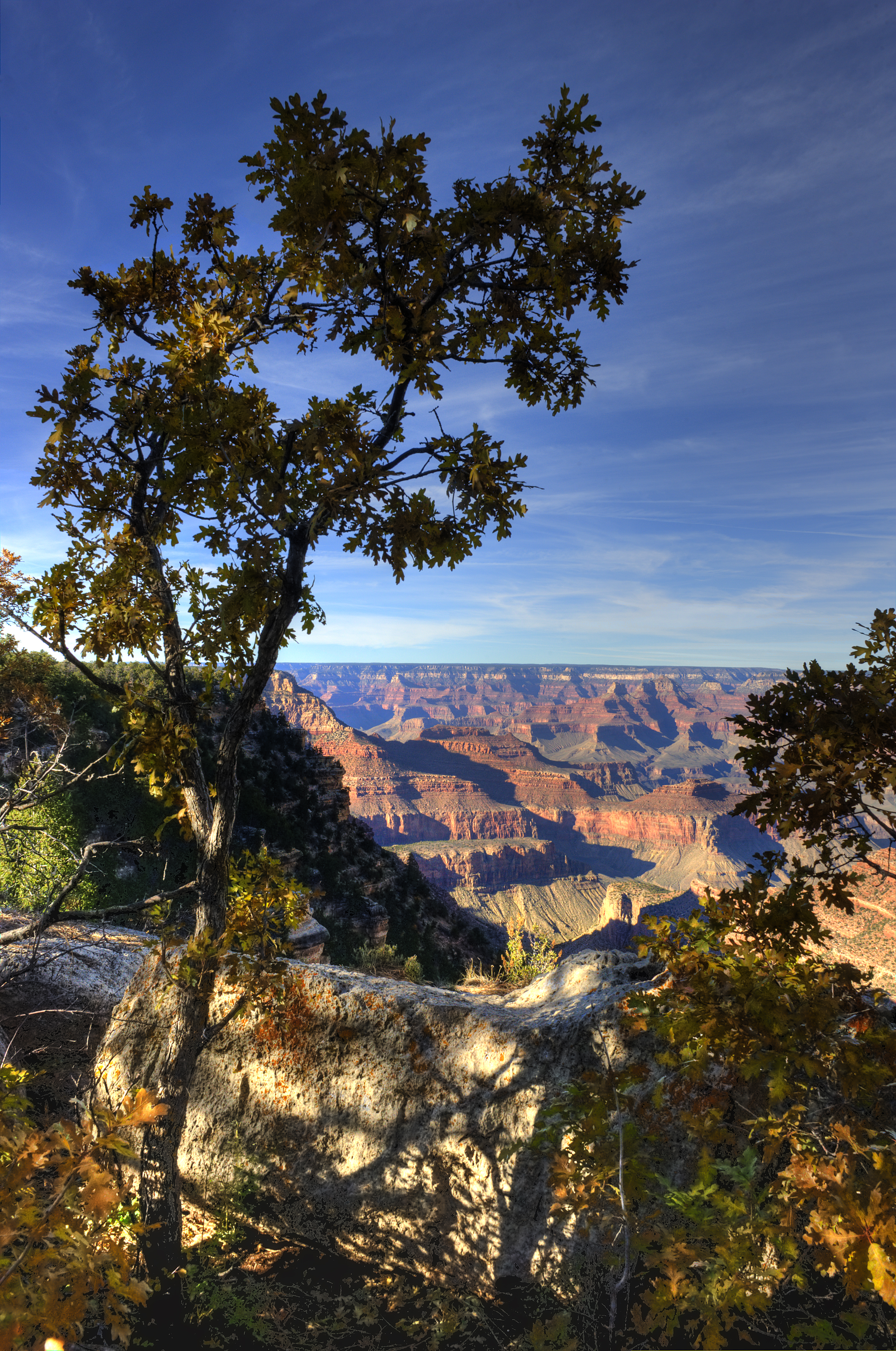 Grand Canyon IV