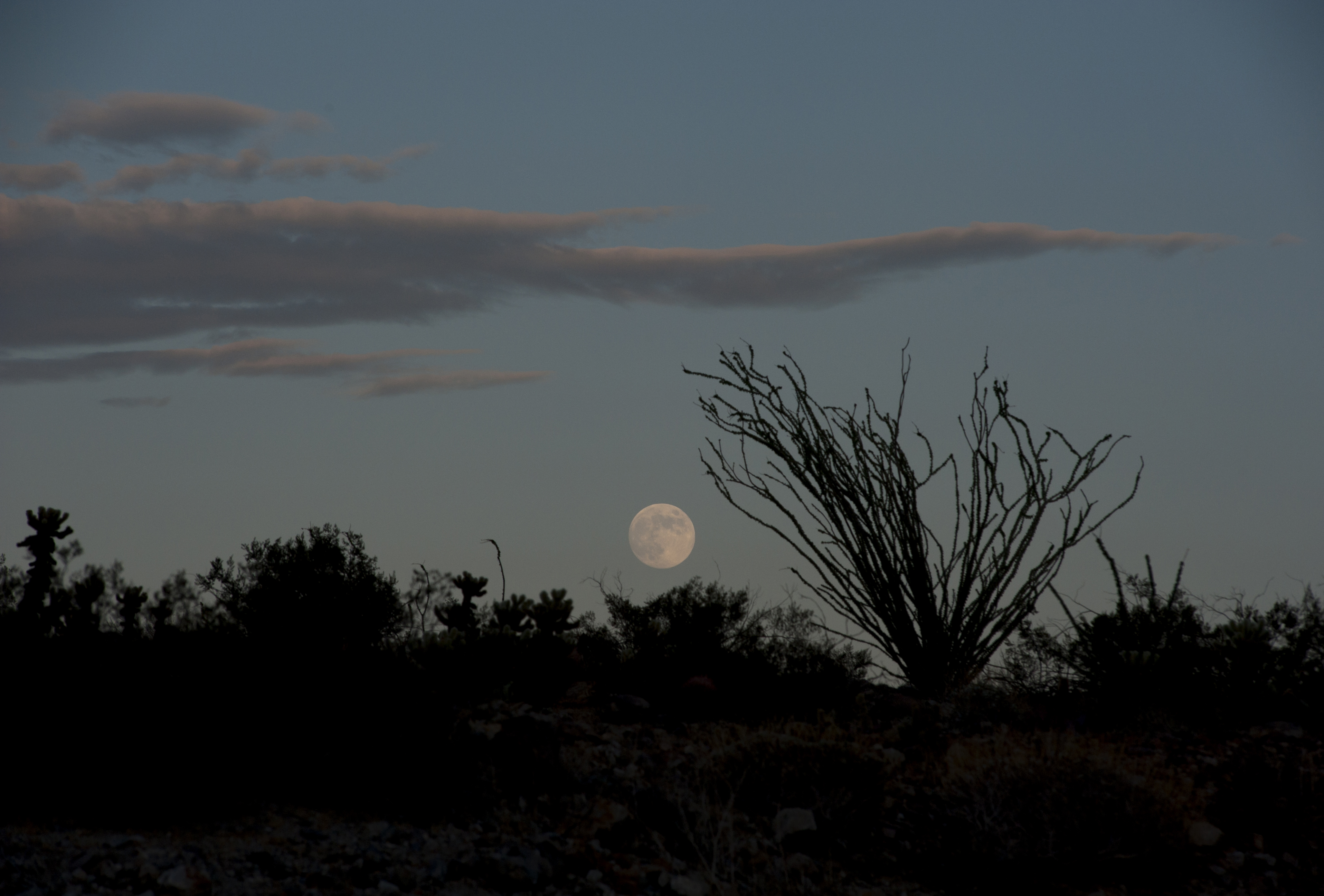 Moonrise Over Desert