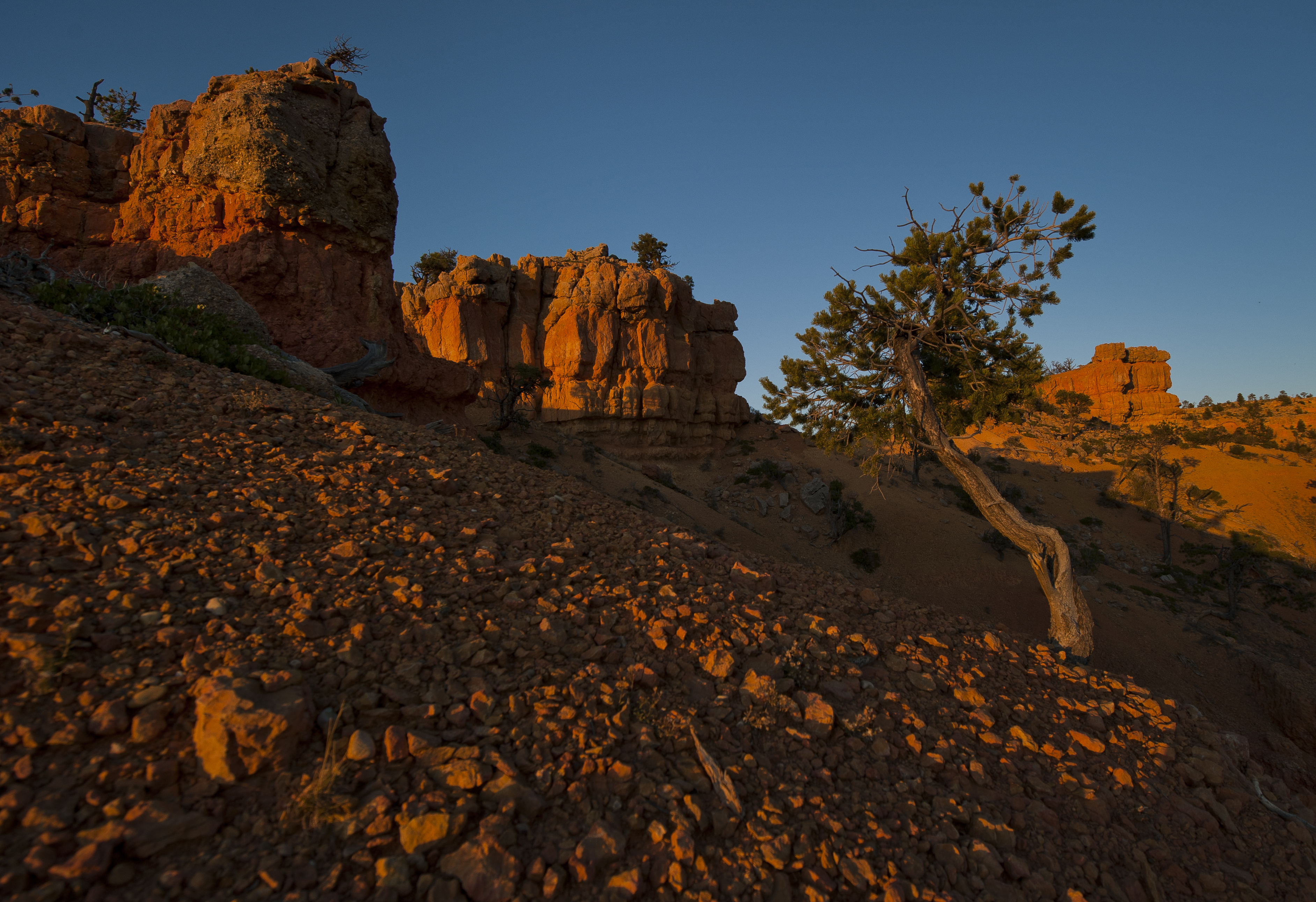 Red Canyon II