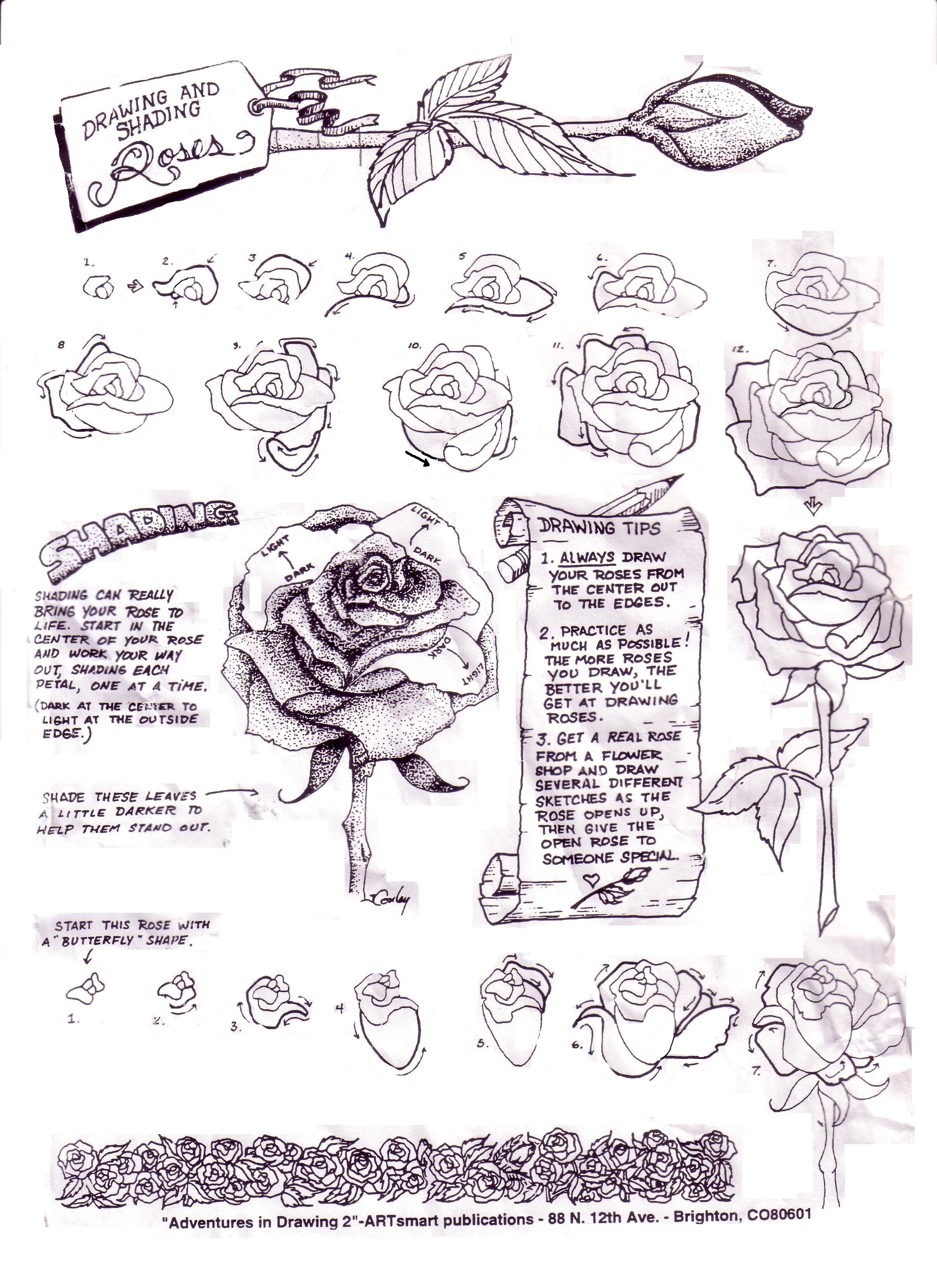 how to: roses