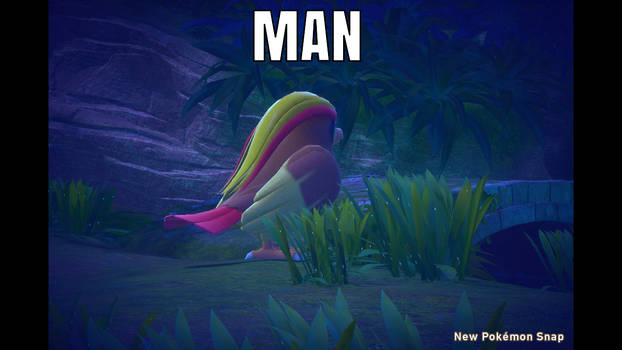 New Pokemon Snap- MAN