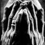 behind my hands