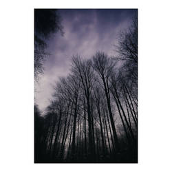Everything Becomes Fleeting