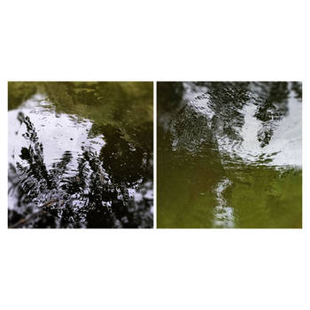 Ripple of Secrets