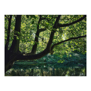 Beneath The Patient Tree
